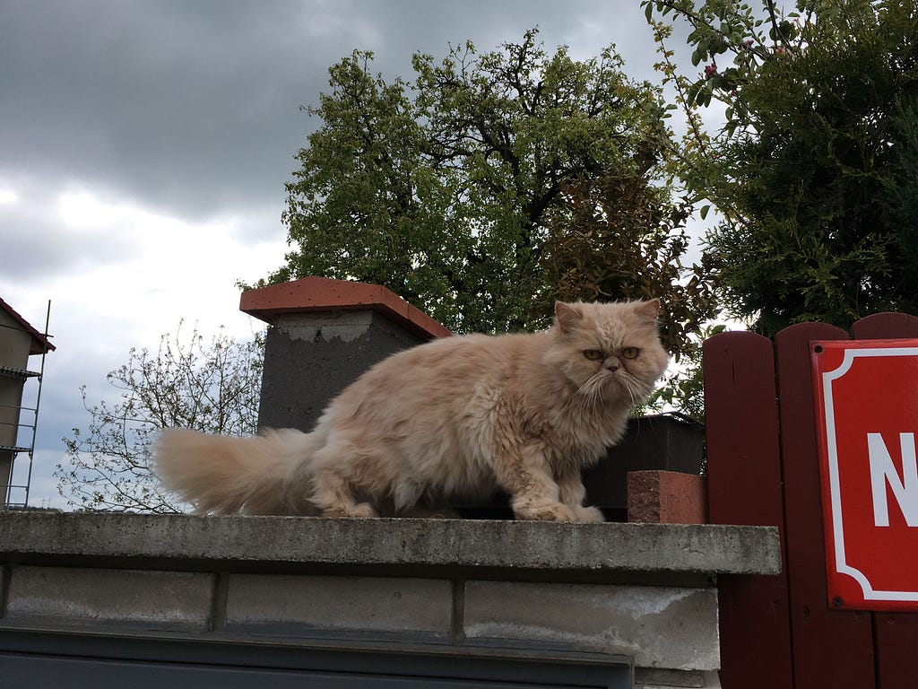 My grumpy neighbor in Libeznice doesn't like technical debt